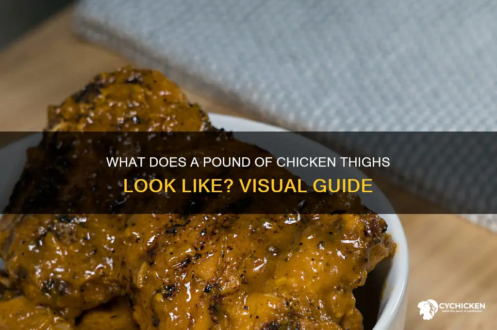 what doesa lb of chicken thigh look like