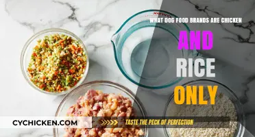 Chicken and Rice: Best Dog Food Brands