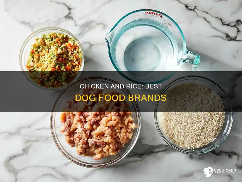 what dog food brands are chicken and rice only