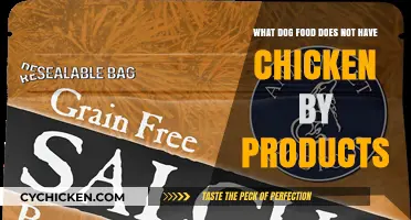 Best Chicken-Free Dog Food: Top Picks for Your Pup