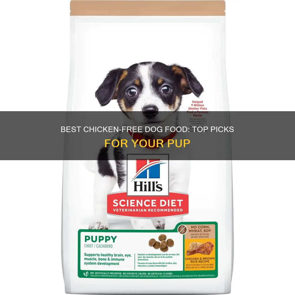 what dog food does not have chicken by products