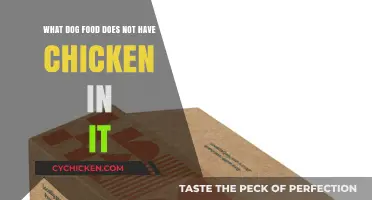 Chicken-Free Dog Food: Best Options for Your Pup