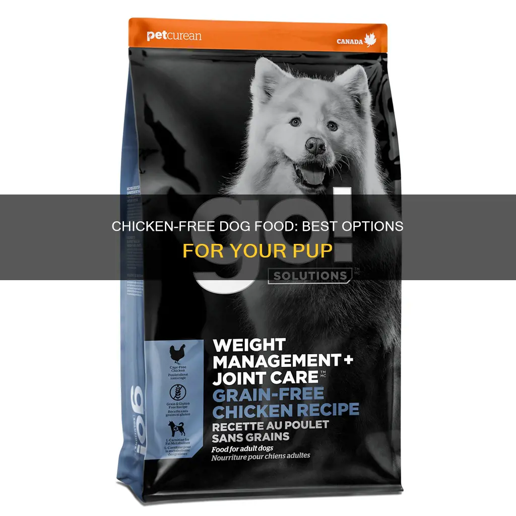 what dog food does not have chicken in it