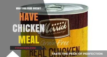 Chicken-Free Canine Cuisine: Discover Dog Foods Without Chicken Meal