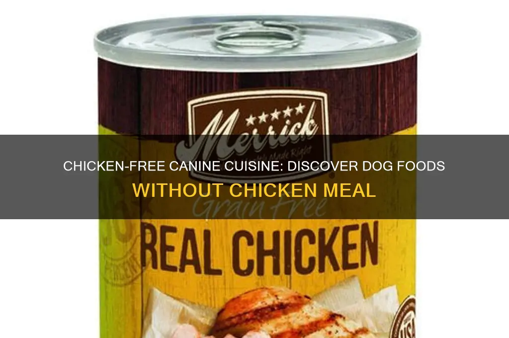 what dog food doesn