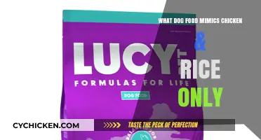 Best Chicken & Rice Dog Food Alternatives: Simple, Healthy Options