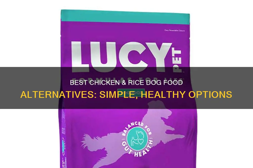 what dog food mimics chicken & rice only