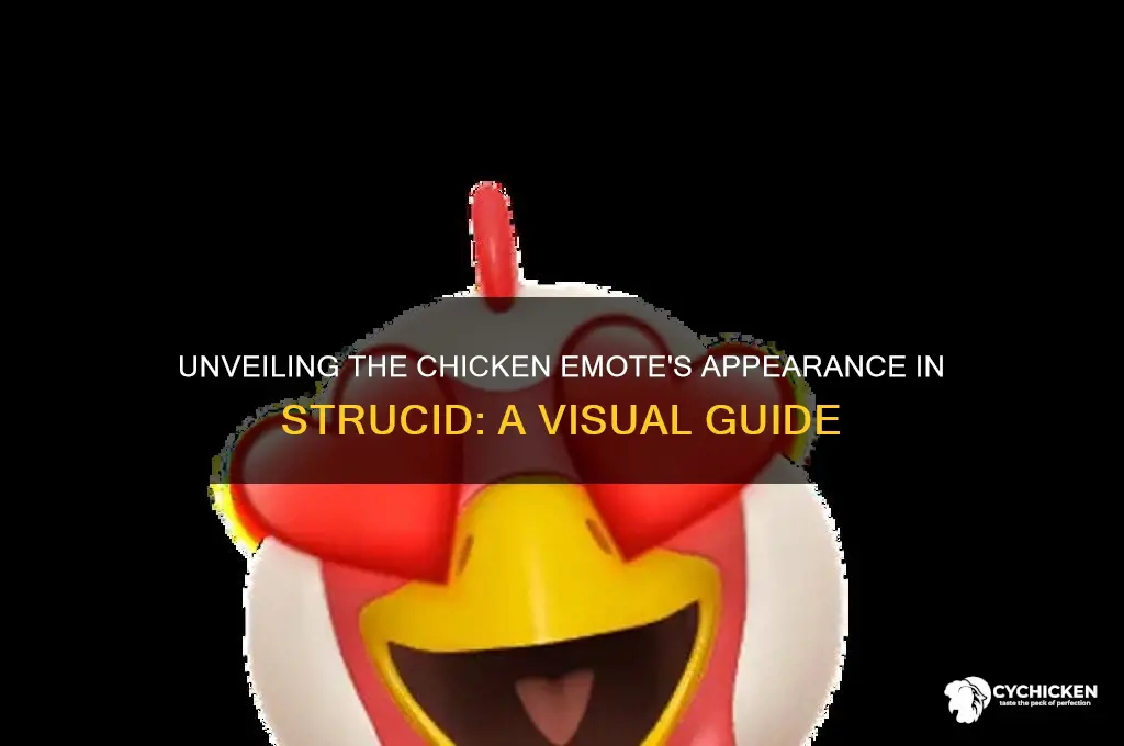 what dooes the chicken emote look like in struicd