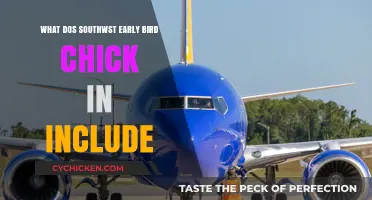 Southwest Early Bird Checked Bag: What's Included in the Deal?