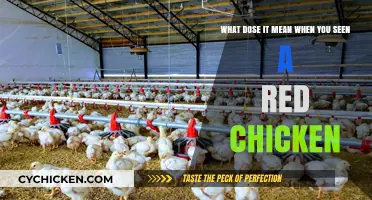 Spotted a Red Chicken? It's a Sign of Good Fortune