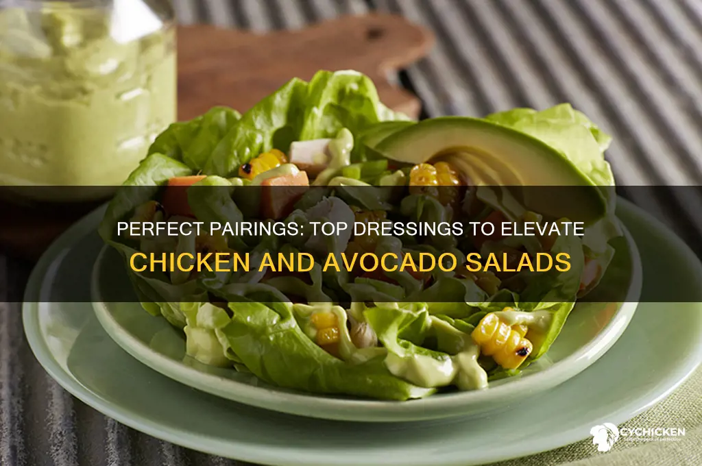 what dressing goes well with chicken and avocado