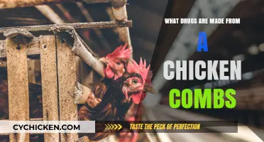 Unlikely Source: Chicken Combs' Surprising Role in Modern Drug Production