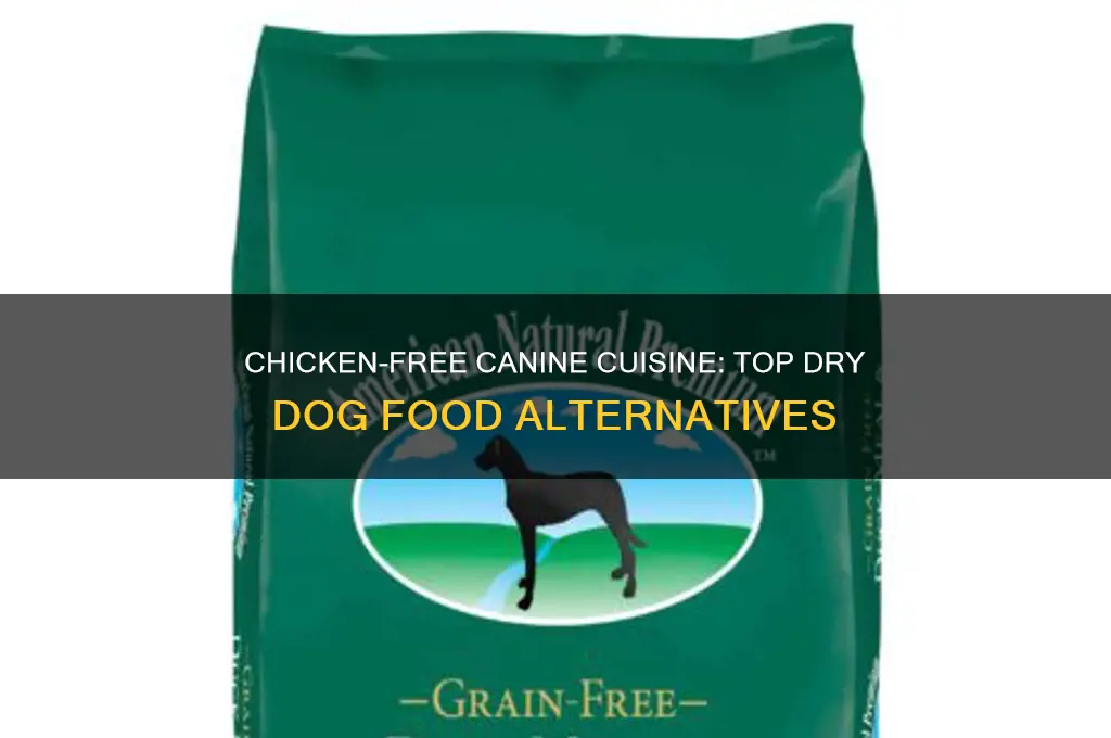 what dry dog food does not contain chicken