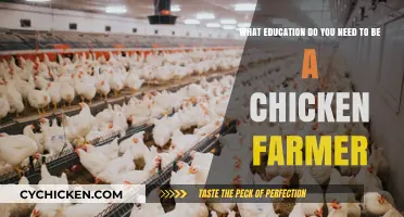 Chicken Farmers: Education for a Fulfilling Career