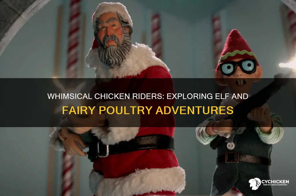 what elf or gairy rides a chicken