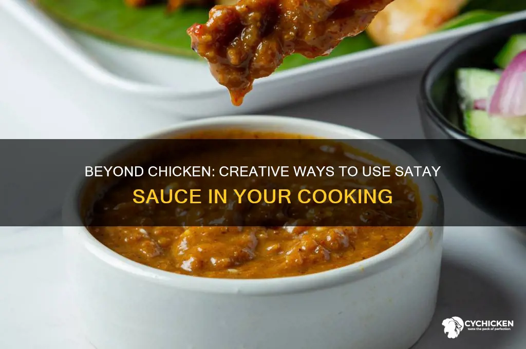 what else can you make with satay sauce besides chicken