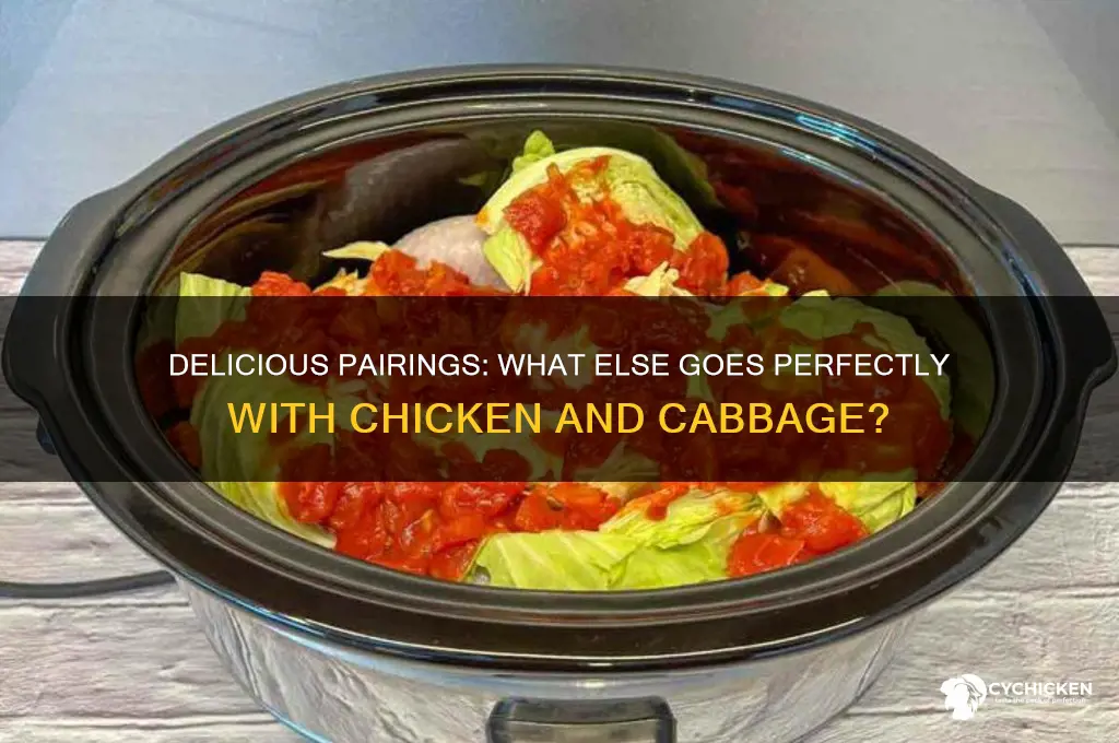 what else goes with chicken and cabbage