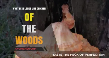 Identifying Chicken of the Woods Look-Alikes: A Forager's Guide