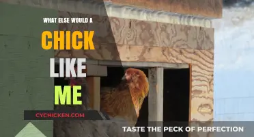 What Else Would a Chick Like Me Truly Want in Life?