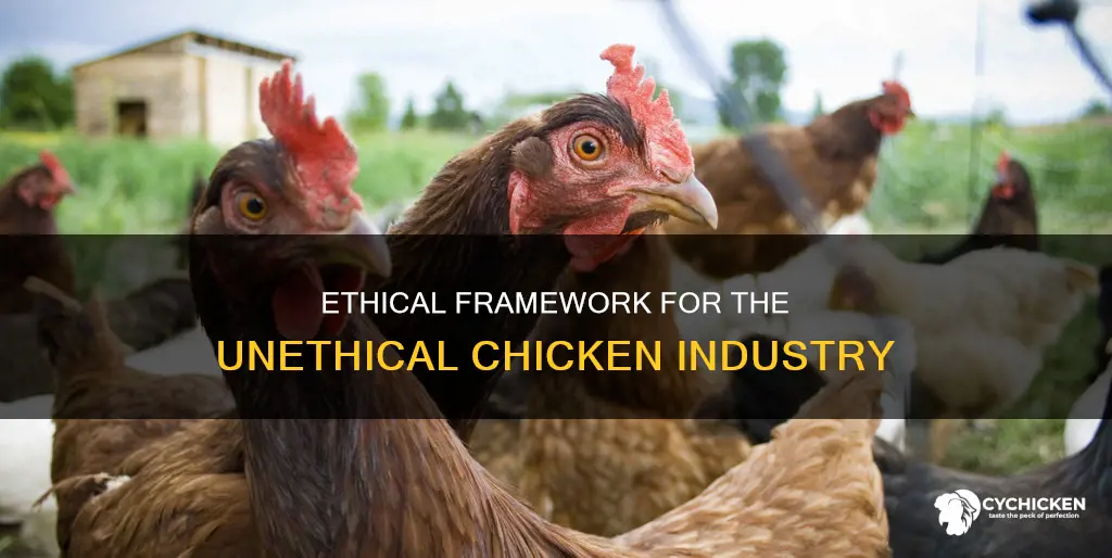 what ethical framework goes along with the unethical chicken industry