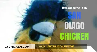 The Mysterious Disappearance of San Diego's Iconic Chicken: What Happened?