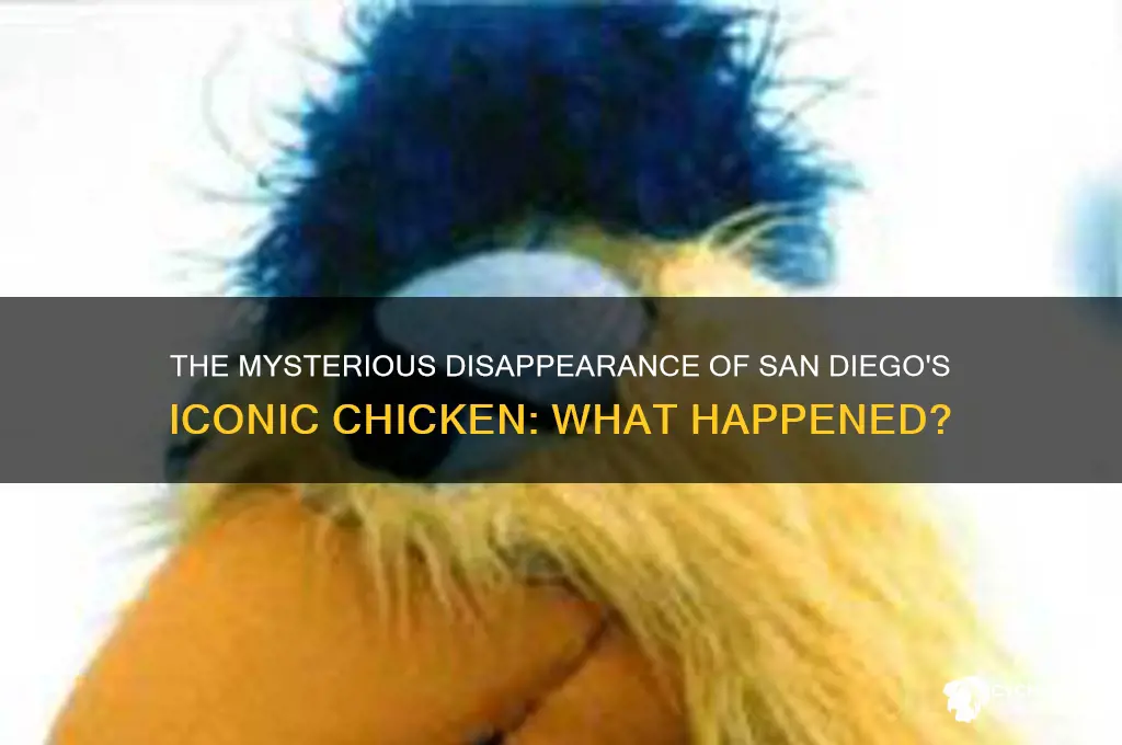 what ever happen to the san diago chicken