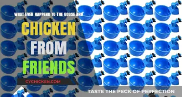 The One with the Goose and the Chicken: Friends' Pets