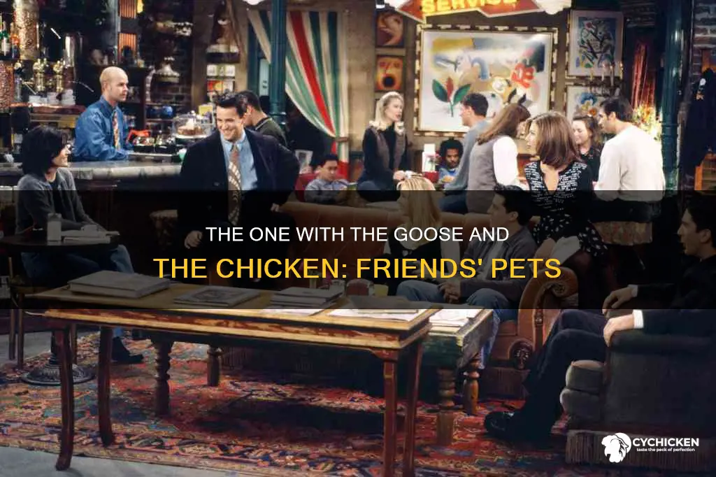 what ever happend to the goose and chicken from friends