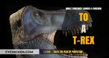 Chicken and T-Rex: Ancient Cousins?