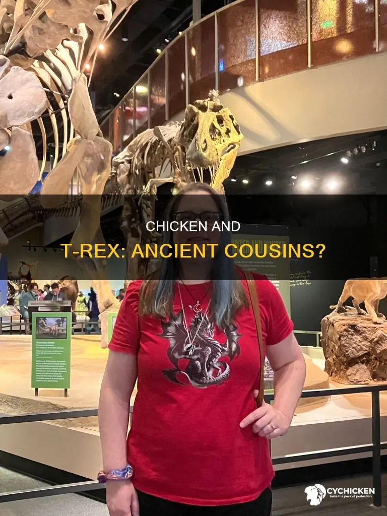 what evidence linked a chicken to a t-rex