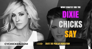 What Did the Dixie Chicks Say? Uncovering the Controversial Statement
