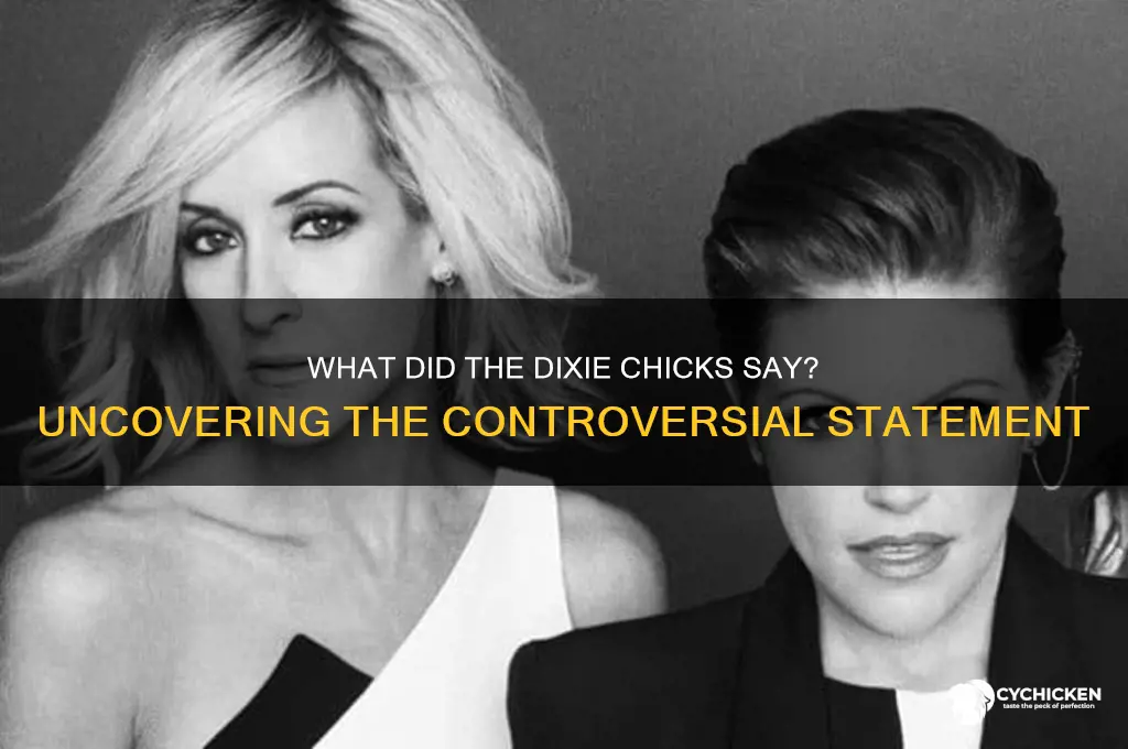 what exactly did the dixie chicks say