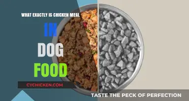 Understanding Chicken Meal in Dog Food: Benefits and Uses
