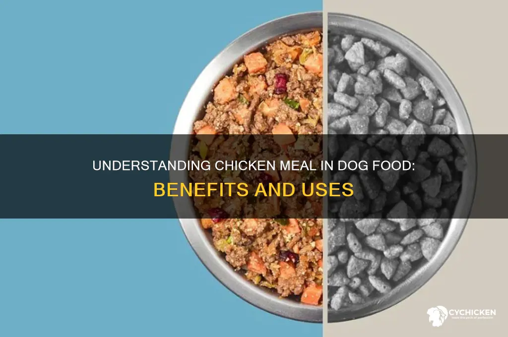 what exactly is chicken meal in dog food