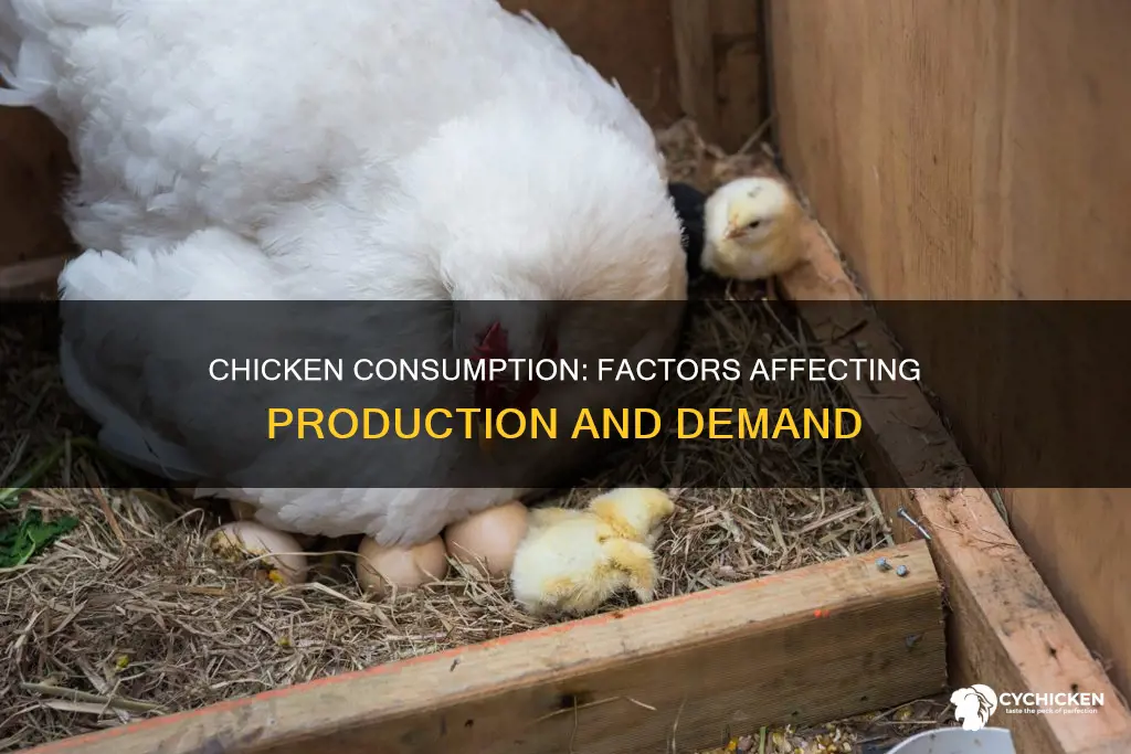 what factors influence our production and consumption of chicken