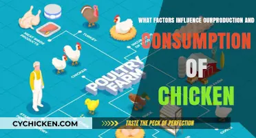 Cultural, Economic, and Environmental Factors Shaping Chicken Production and Consumption