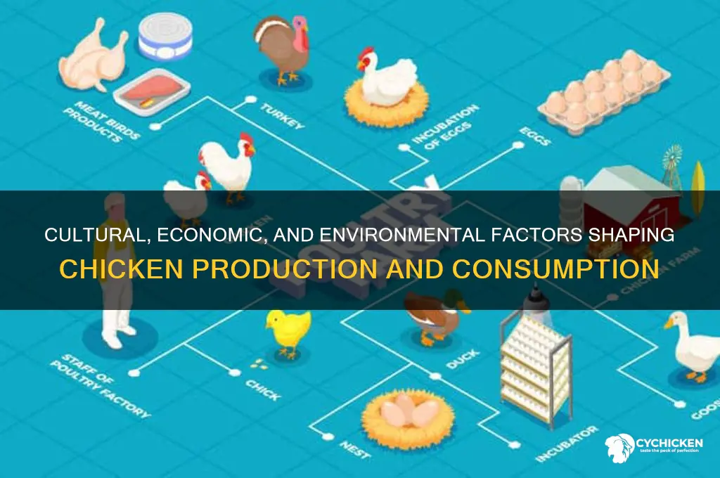 what factors influence ourproduction and consumption of chicken
