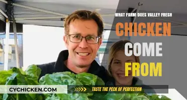 Discovering the Farm Behind Valley Fresh Chicken: A Detailed Look