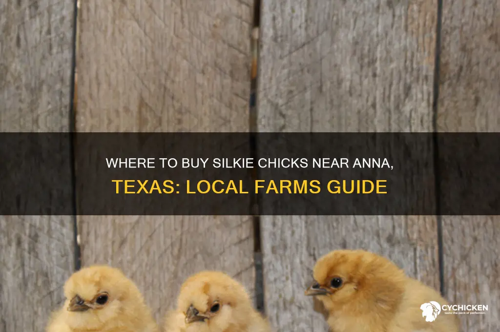 what farms near anna texas sell silkie chicks
