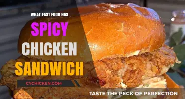 Spicy Chicken Sandwich Showdown: Top Fast Food Chains to Try