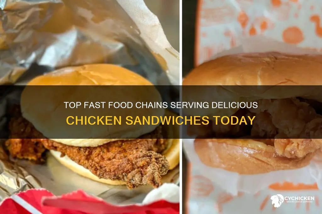 what fast food places have chicken sandwiches
