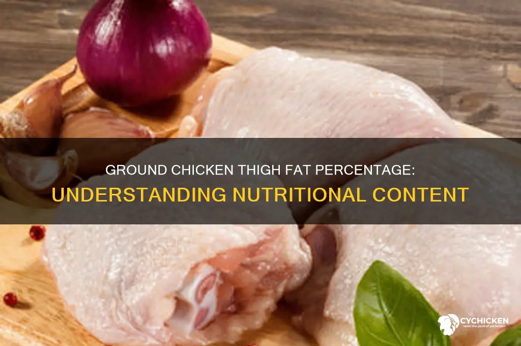 what fat percentage is ground chicken thigh