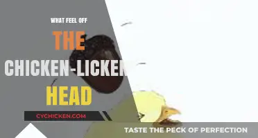 Why Did the Sky Fall on Chicken-Licken's Head? Unraveling the Tale
