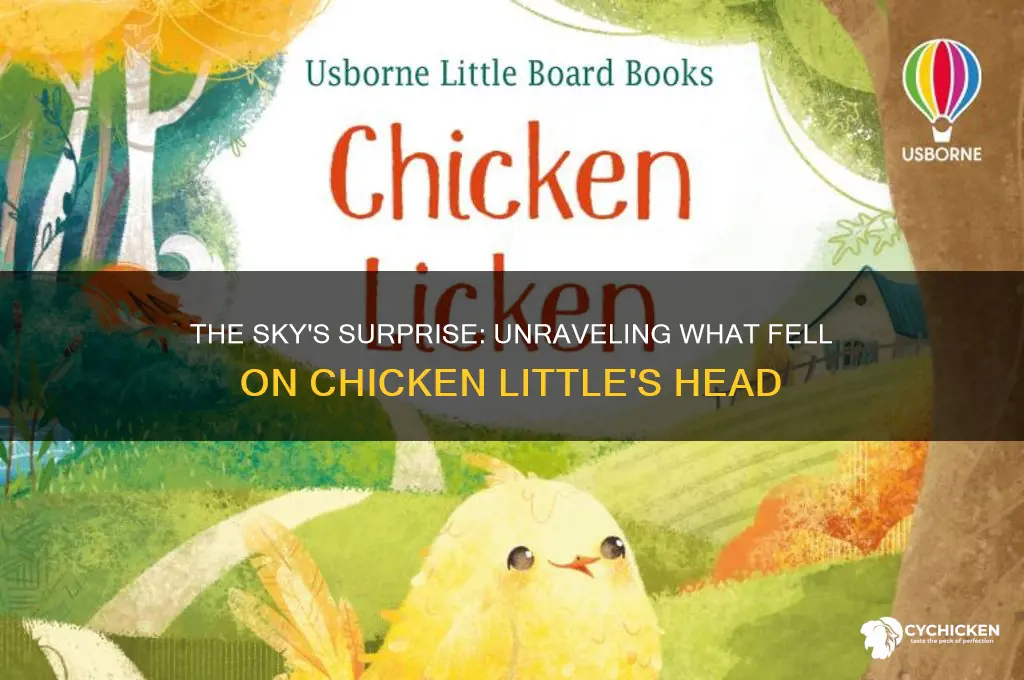 what fell on chicken little