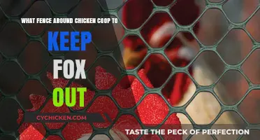 Effective Fencing Solutions to Protect Your Chicken Coop from Foxes
