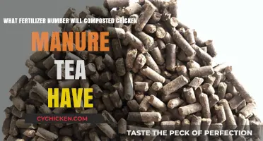 Chicken Manure Tea: A Natural Fertilizer Boost