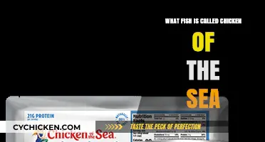 Why Tuna is Known as the Chicken of the Sea