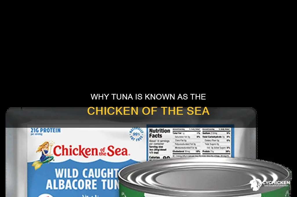 what fish is called chicken of the sea