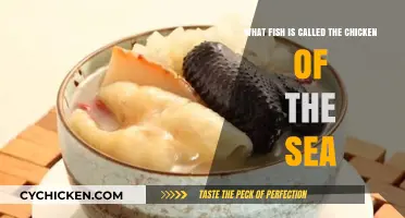 The Versatile Fish: Why Tuna is the Chicken of the Sea