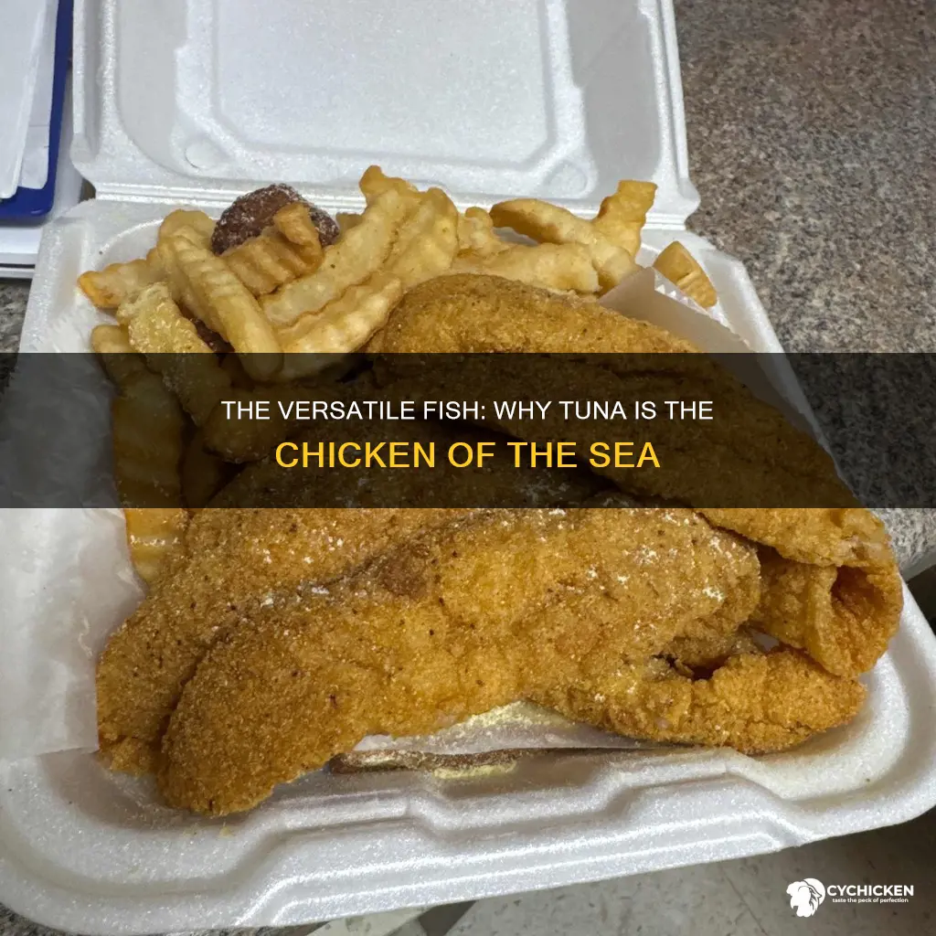what fish is called the chicken of the sea
